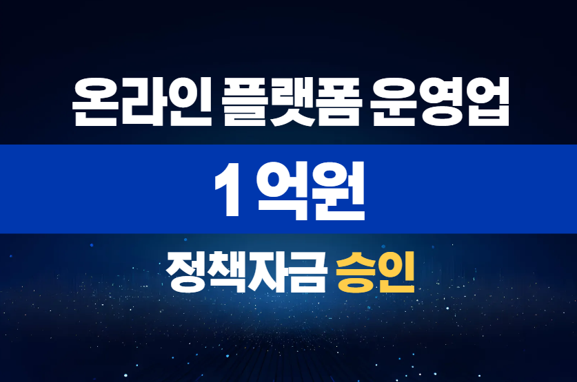 온라인 플랫폼 운영업 / 정책자금 1억 승인