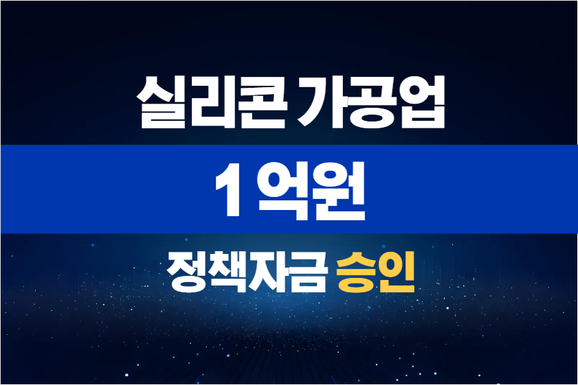 실리콘 가공업 / 정책자금 1억 승인